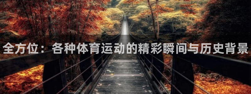 oety欧亿体育官网下载平台是正规平台吗知乎：全方位