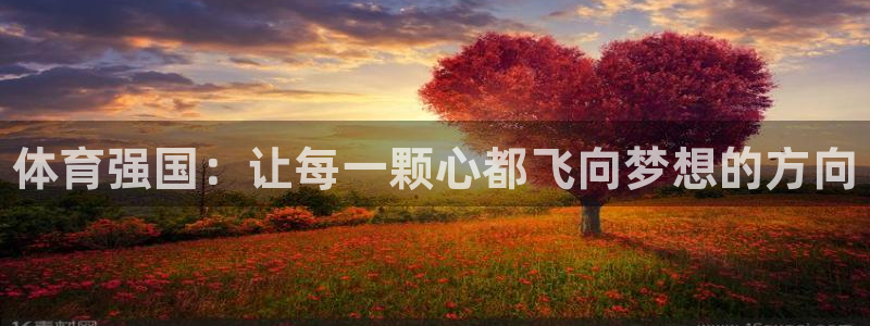 oety欧亿体育官网下载招商：体育强国：让每一颗心都飞向梦想