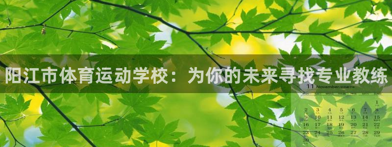 oety欧亿体育官网下载平台是正规平台吗安全吗