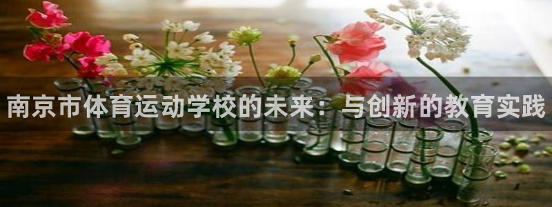 欧亿体育官方正版app集团logo：南京市体育运动学校的未来