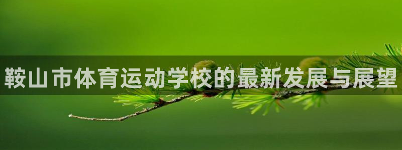 德国欧亿体育官方正版app集团：鞍山市体育运动学校的最新发展