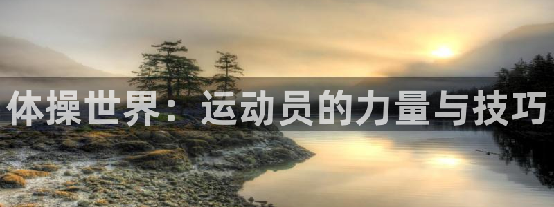 欧亿体育官方正版app娱乐代理怎么样：体操世界：运动