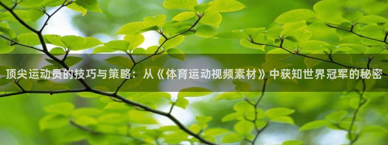 oety欧亿体育官网下载招商电话：顶尖运动员的技巧与