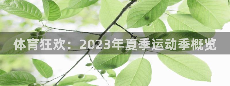 oety欧亿体育官网下载招商电话地址是多少：体育狂欢