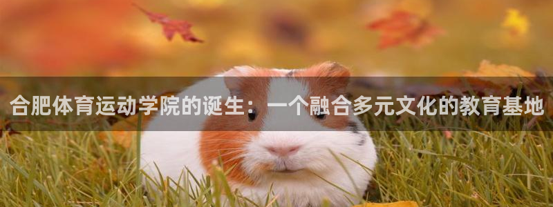 oety欧亿体育官网下载招商电话号码是多少号：合肥体