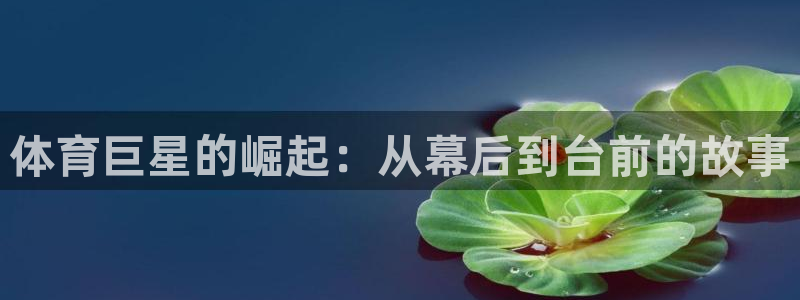 欧亿体育官方正版app娱乐40996：体育巨星的崛起