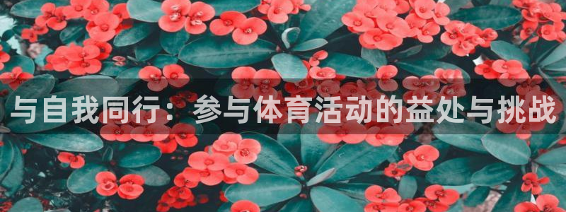 欧亿体育官方正版app新能源：与自我同行：参与体育活