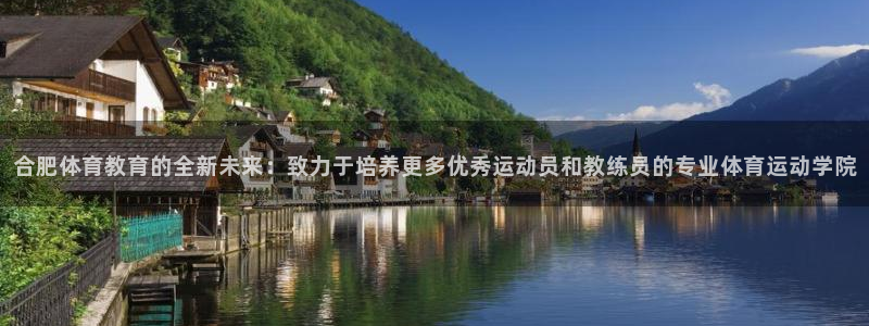 欧亿体育官方正版app娱乐是那个系列的台子：合肥体育教育的全