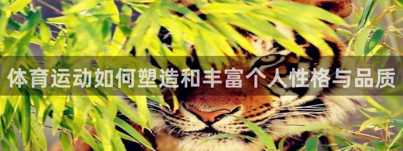 德国欧亿体育官方正版app集团：体育运动如何塑造和丰富个人性