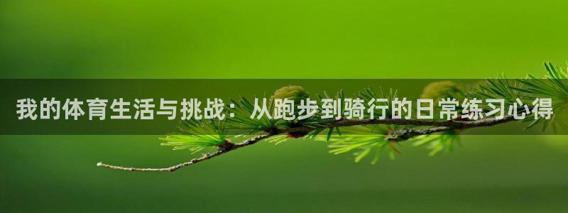 欧亿体育官方正版app娱乐平台：我的体育生活与挑战：从跑步到
