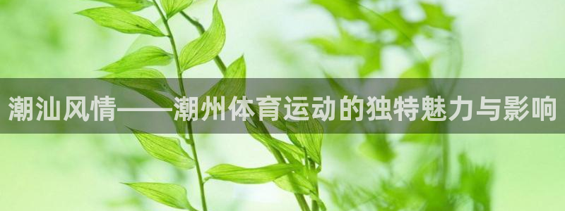 欧亿体育官方正版app神州：潮汕风情——潮州体育运动的独特魅