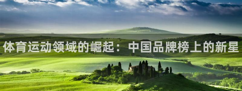 欧亿体育官方正版app娱乐代理怎么样：体育运动领域的崛起：中