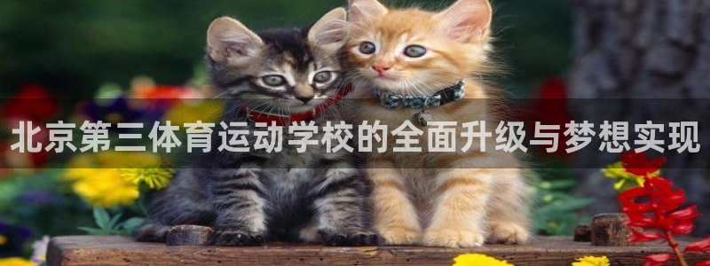 欧亿体育官方集团官网：北京第三体育运动学校的全面升级与梦想实