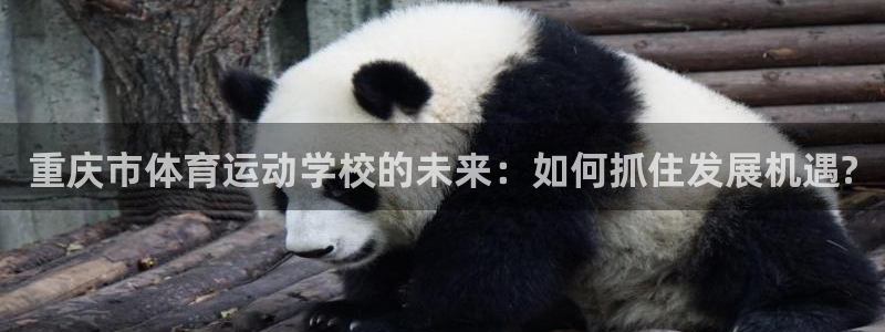 欧亿体育官方正版app娱乐网站