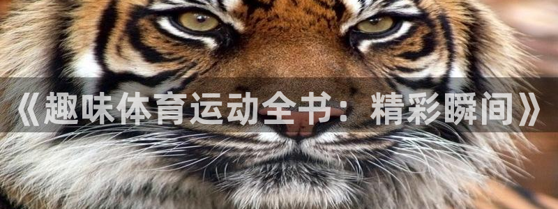 oety欧亿体育官网下载招商电话地址查询：《趣味体育运动全书