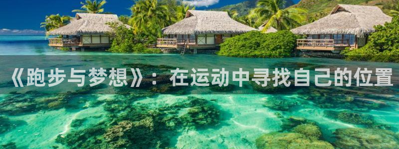 球速体育