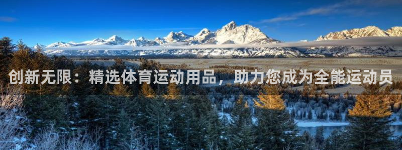 球速体育：创新无限：精选体育运动用品，助力您成为全能运动员