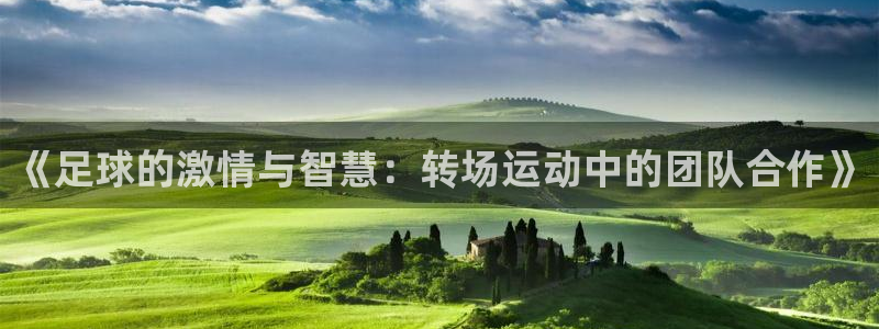 球速体育：《足球的激情与智慧：转场运动中的团队合作》