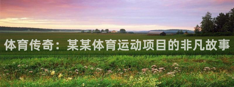 球速体育