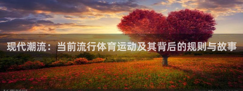 球速体育：现代潮流：当前流行体育运动及其背后的规则与故事