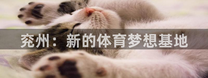 球速体育