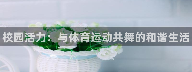 球速体育