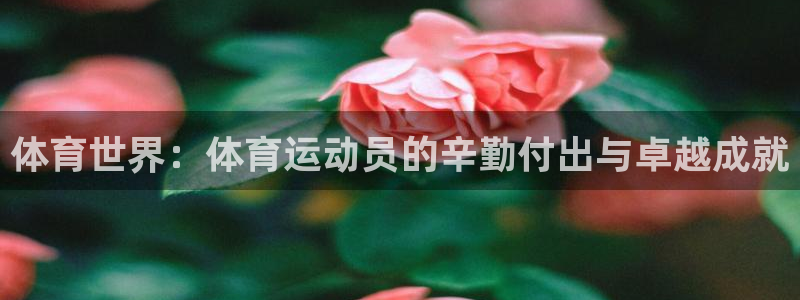 球速体育：体育世界：体育运动员的辛勤付出与卓越成就