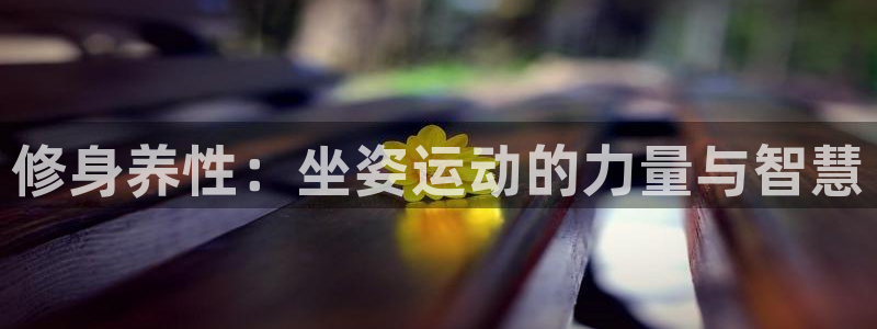 球速体育：修身养性：坐姿运动的力量与智慧