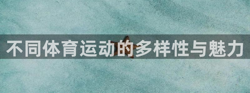 球速体育