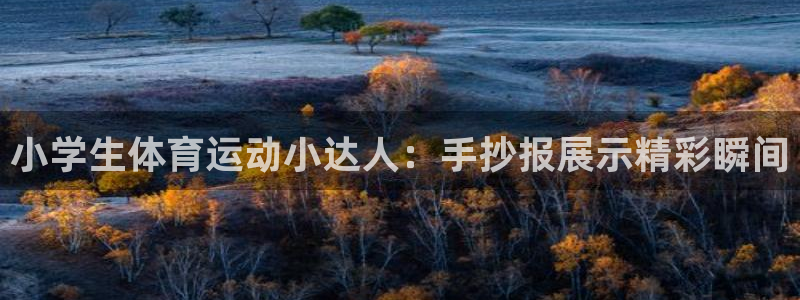 球速体育