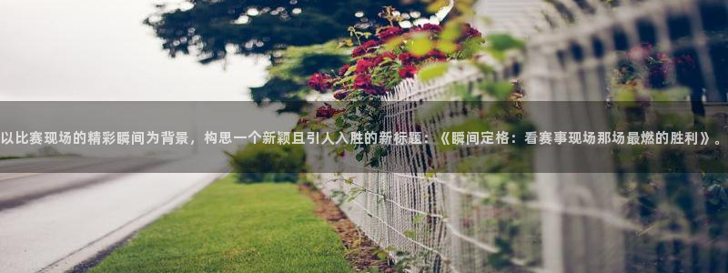 球速体育