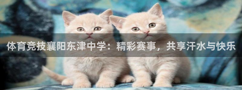 球速体育