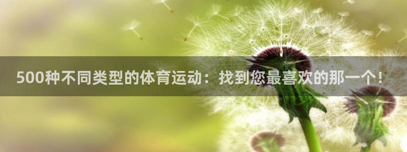 球速体育