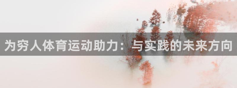 球速体育：为穷人体育运动助力：与实践的未来方向