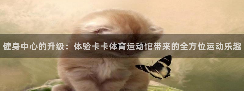 球速体育：健身中心的升级：体验卡卡体育运动馆带来的全方位运动乐趣