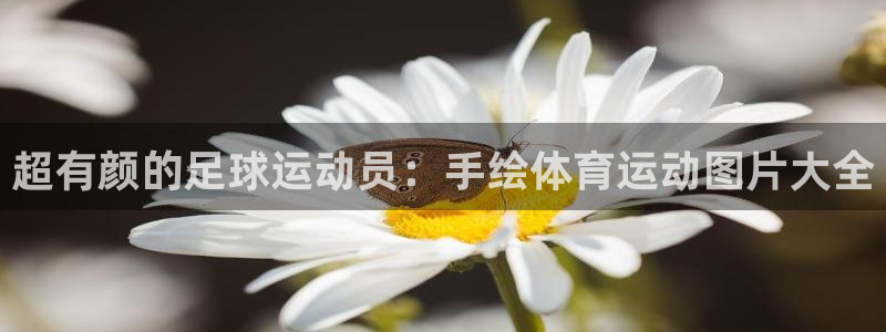  欧亿星灰泥一平方多少钱：超有颜的足球运动员：手绘体育运动图片