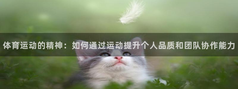 欧亿平台注册：体育运动的精神：如何通过运动提升个人品质和团队