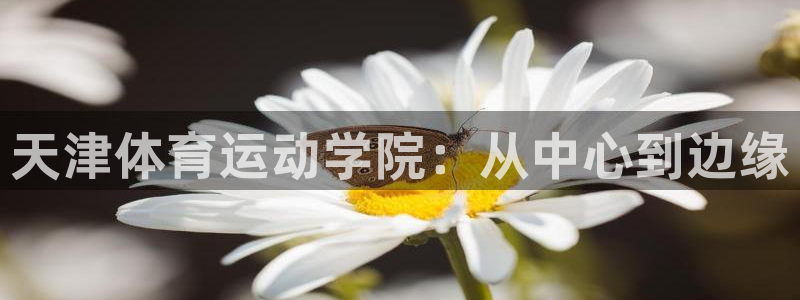 oe欧亿黑彩平台怎么样：天津体育运动