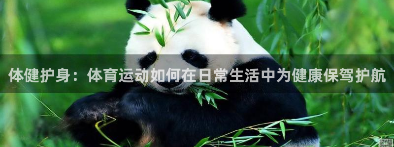  欧亿星公司简介：体健护身：体育运动如何在日常生活中为健康保驾