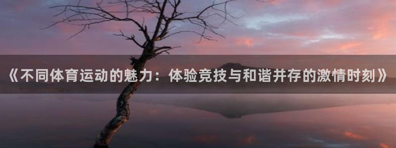  欧亿集团：《不同体育运动的魅力：体验竞技与和谐并存的激情时刻