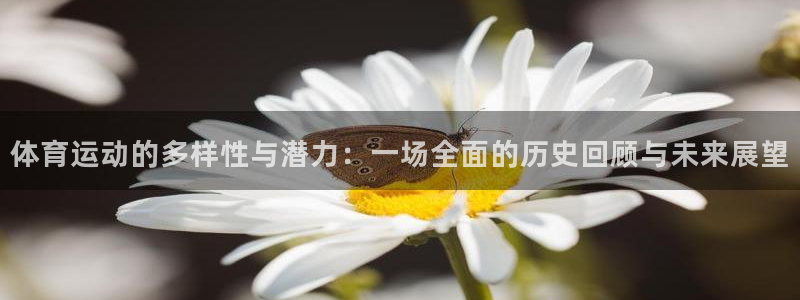 欧亿集团有限公司：体育运动的多样性与