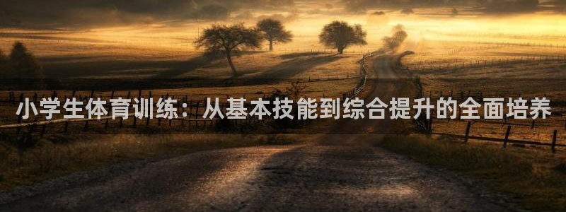  欧亿科技：小学生体育训练：从基本技能到综合提升的全面培养