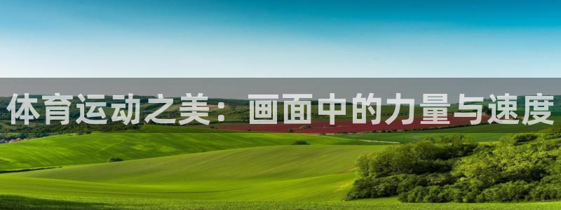  欧亿平台注册：体育运动之美：画面中的力量与速度
