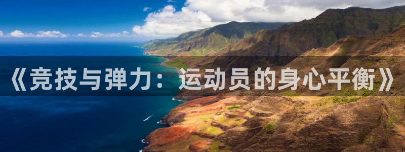 oe欧亿黑彩平台怎么样：《竞技与弹力