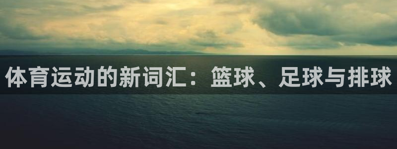 欧亿平台欧亿登录注册：体育运动的新词