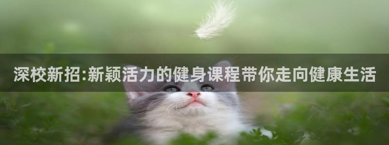 oety欧亿体育官网下载平台假的吗是真的吗:深校新招:新颖活