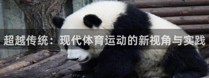 oety欧亿体育官网下载开户：超越传统：现代体育运动的新视角